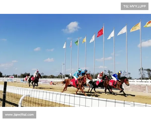 海南赛事竞猜项目